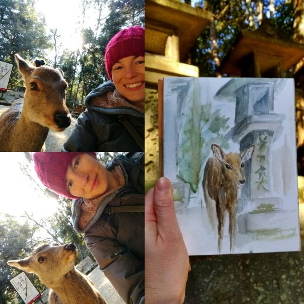 img_20180114_002911_354