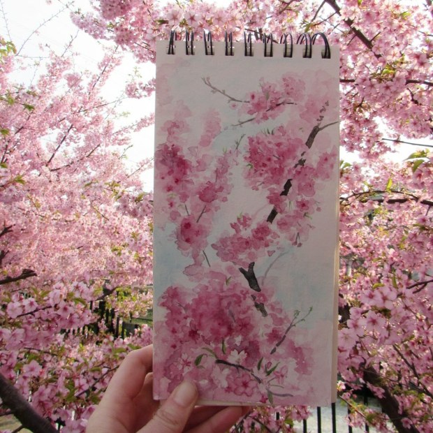 IMG_20190315_230932_036